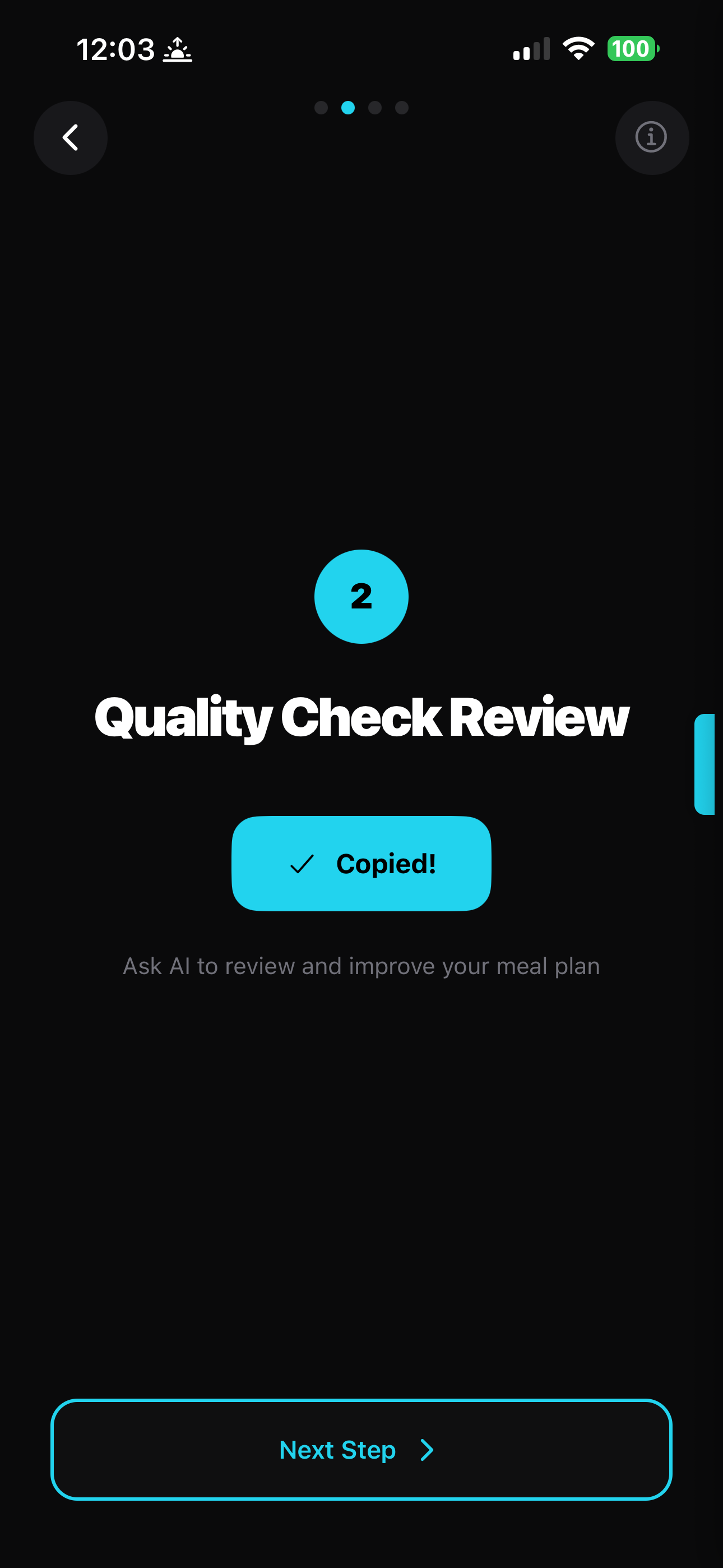 Step 2: Quality Check Review - ask AI to review and improve