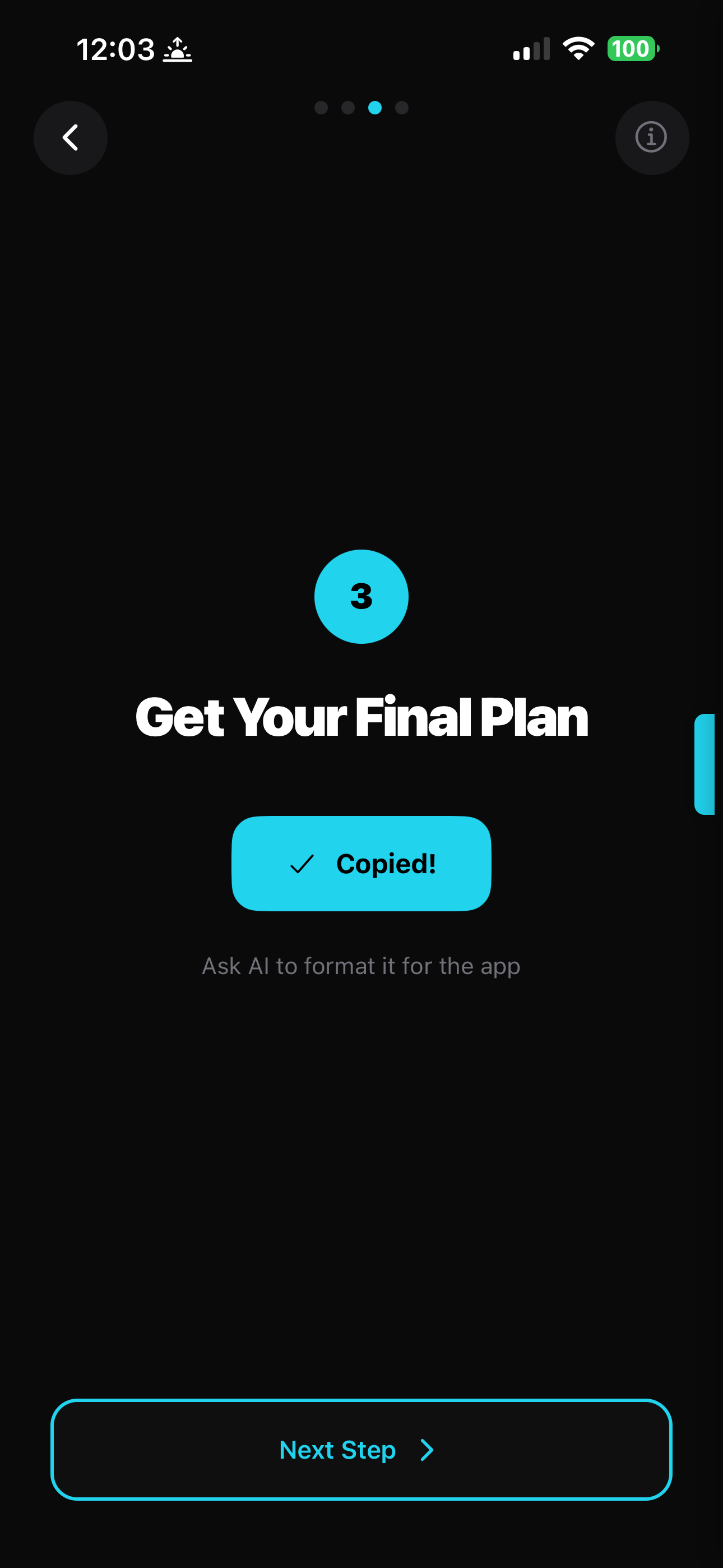 Step 3: Get Your Final Plan - ask AI to format it for the app